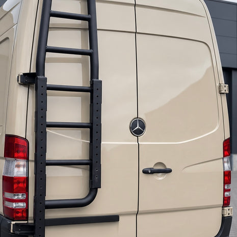FULL-BODY LADDER